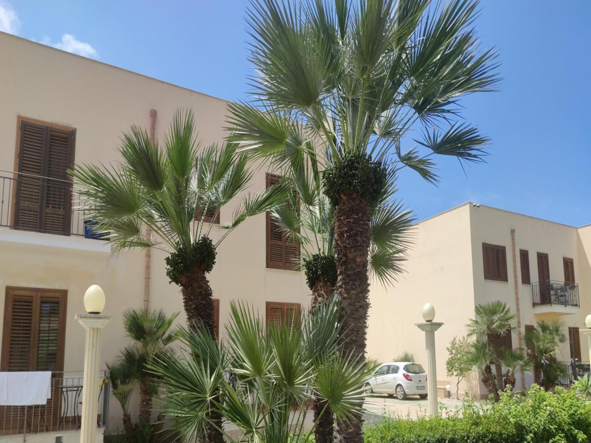 Appartamento Valentina San Vito Lo Capo Exterior foto